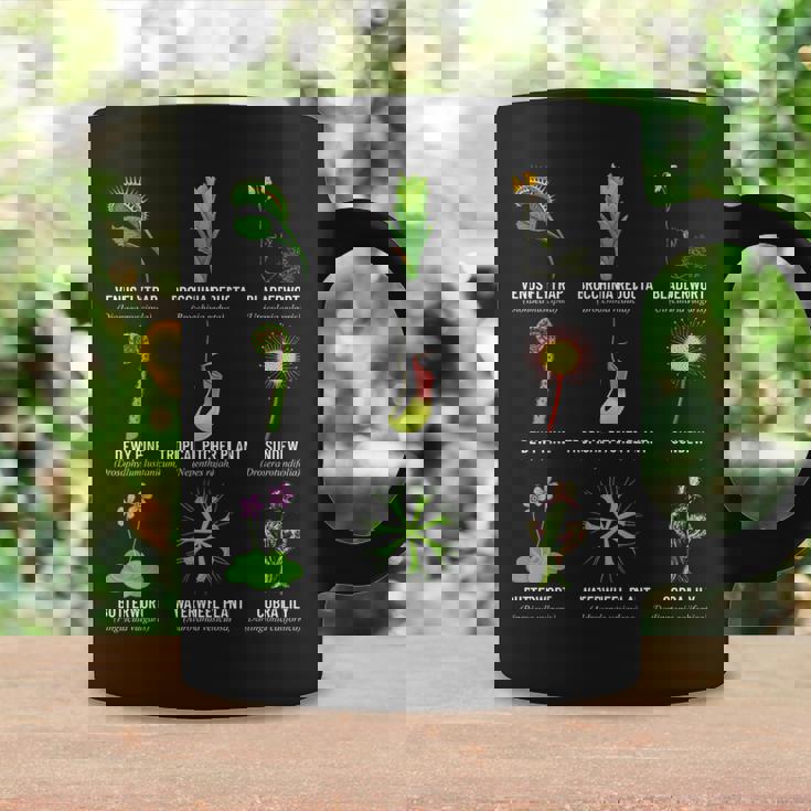 食虫植物 チャートハエトリグサ、食虫植物 コーヒーマグ ギフトのアイデア