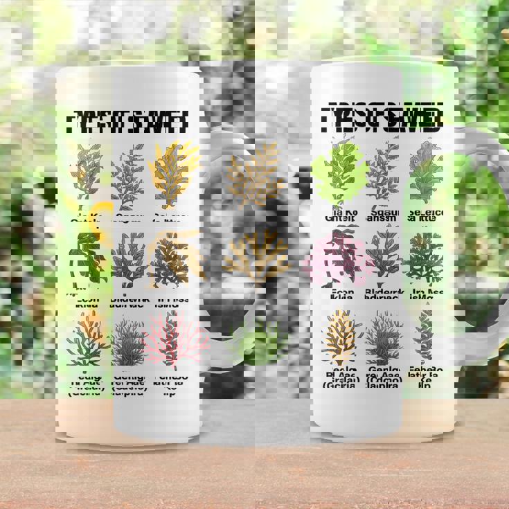 海藻の種類、海藻種チャート、海藻の種類 コーヒーマグ ギフトのアイデア