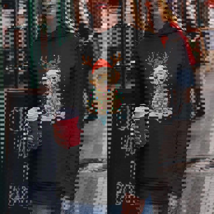 Christmas Light Snow Reindeer Santa Golden Retriever Xmas Women Hoodie Personalized Gifts