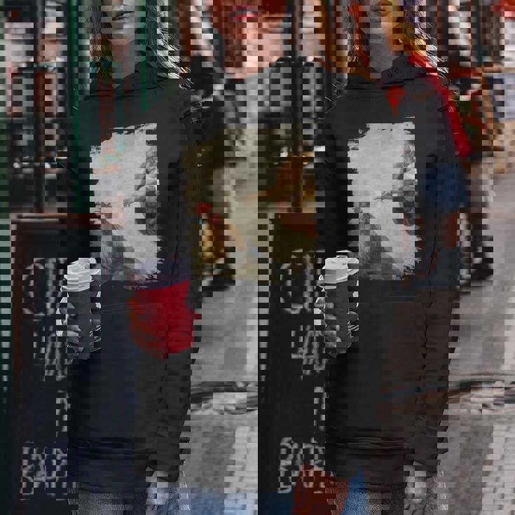 Creation Of Chicken Adam クラシック ミケランジェロ ニワトリ ファニー レディースパーカー 面白い贈り物