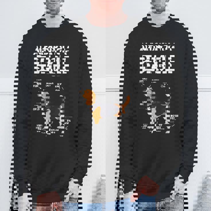 Anatomy Of A Beagle ファニービーグル スウェットシャツ 高齢者への贈り物