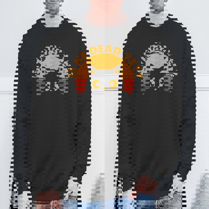 Is-He-Vintage-Dead-Yet 猫 スウェットシャツ 高齢者への贈り物