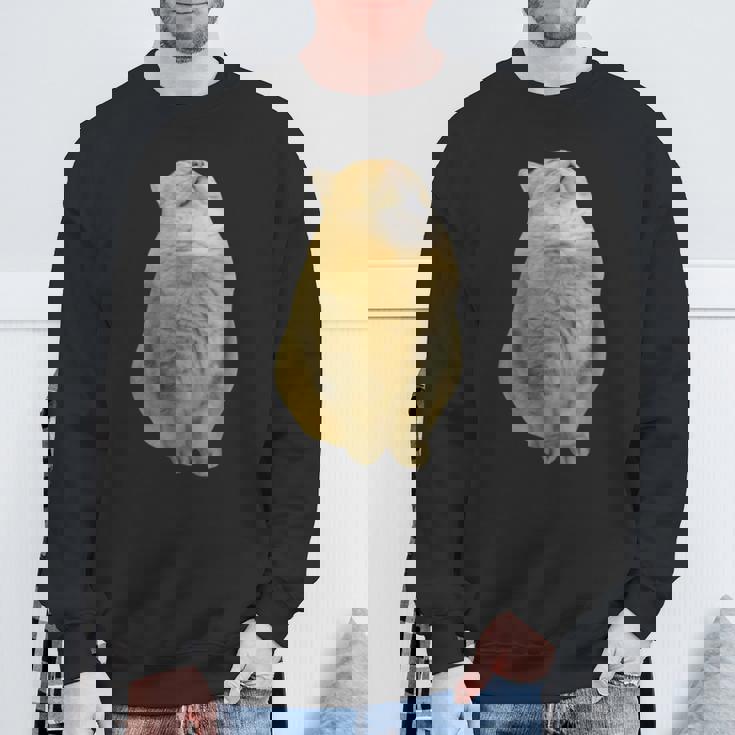 Meme Yellow Cat leep Internetiral スウェットシャツ 高齢者への贈り物