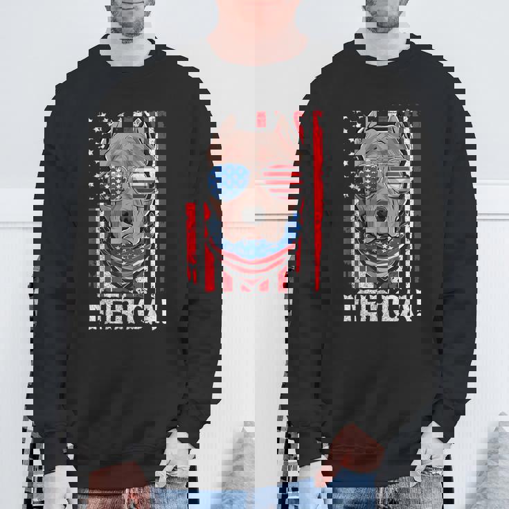 Pit-Bull Usa 愛国的な犬服 アメリカ国旗 メンズ スウェットシャツ 高齢者への贈り物