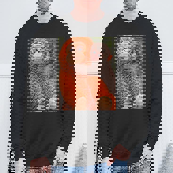 Punch The Monkey Meme X Ape Cute Punch Monkey Baby Meme スウェットシャツ 高齢者への贈り物