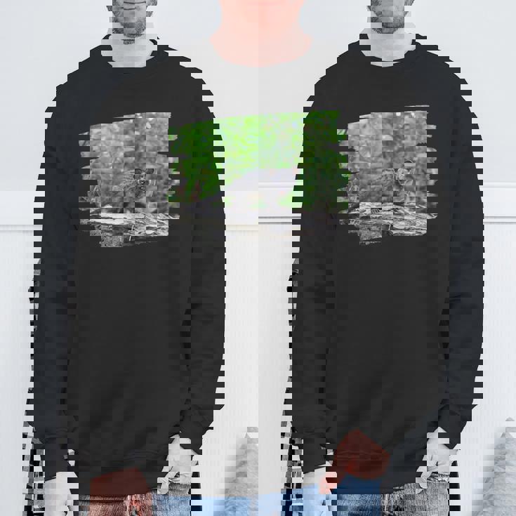 アフリカンパームシベット スウェットシャツ 高齢者への贈り物