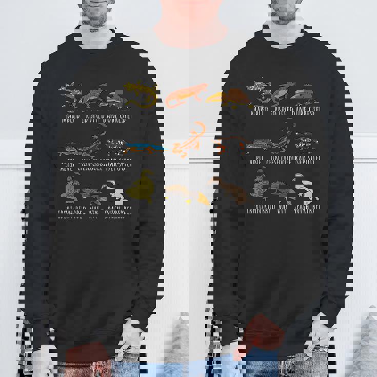 イモリ愛好家のためのかわいい種類のイモリサンショウウオ種チャート スウェットシャツ 高齢者への贈り物