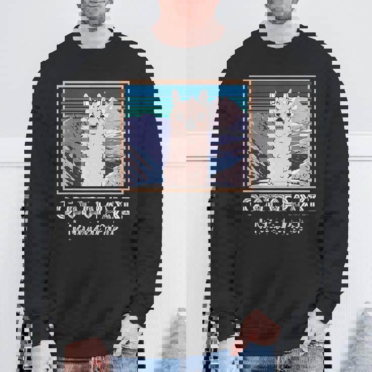 エクアドル山脈コトパクシ国立公園のかわいいラマ スウェットシャツ 高齢者への贈り物