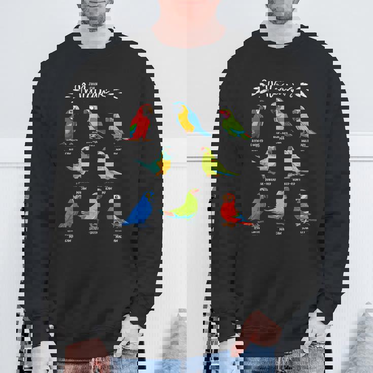 カラフルな8種のインコ コンゴウインコ スウェットシャツ 高齢者への贈り物