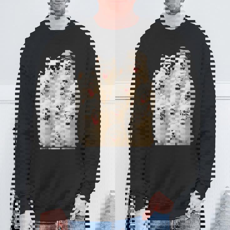 クレイジー日本スピッツ 長袖tシャツ スウェットシャツ 高齢者への贈り物