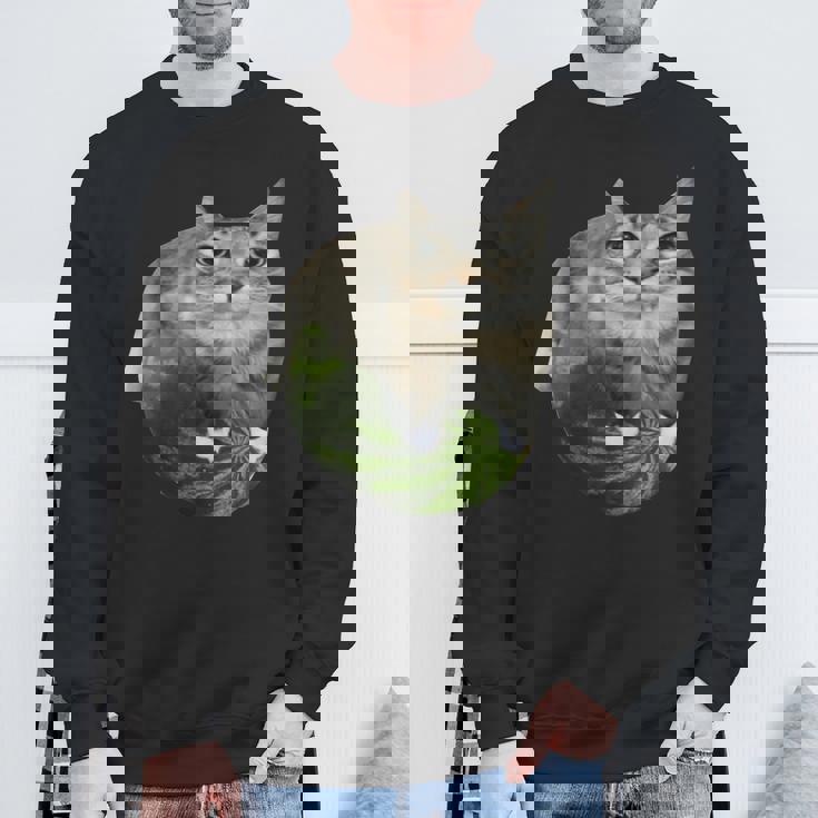 スイカ猫ミーム スウェットシャツ 高齢者への贈り物