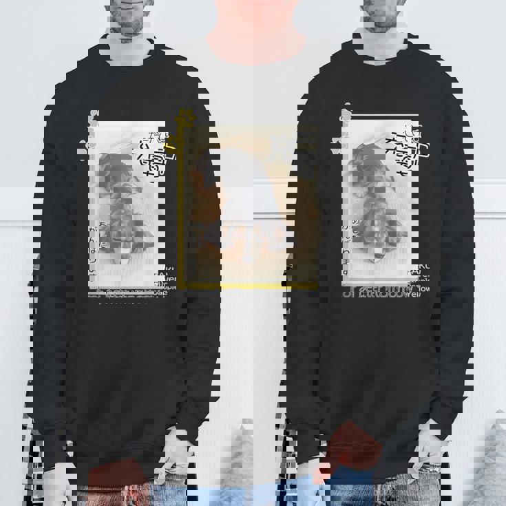 ダックス ミニチュアダックス シルバーダップル らく 充電中 明日がんばる 犬 スウェットシャツ 高齢者への贈り物