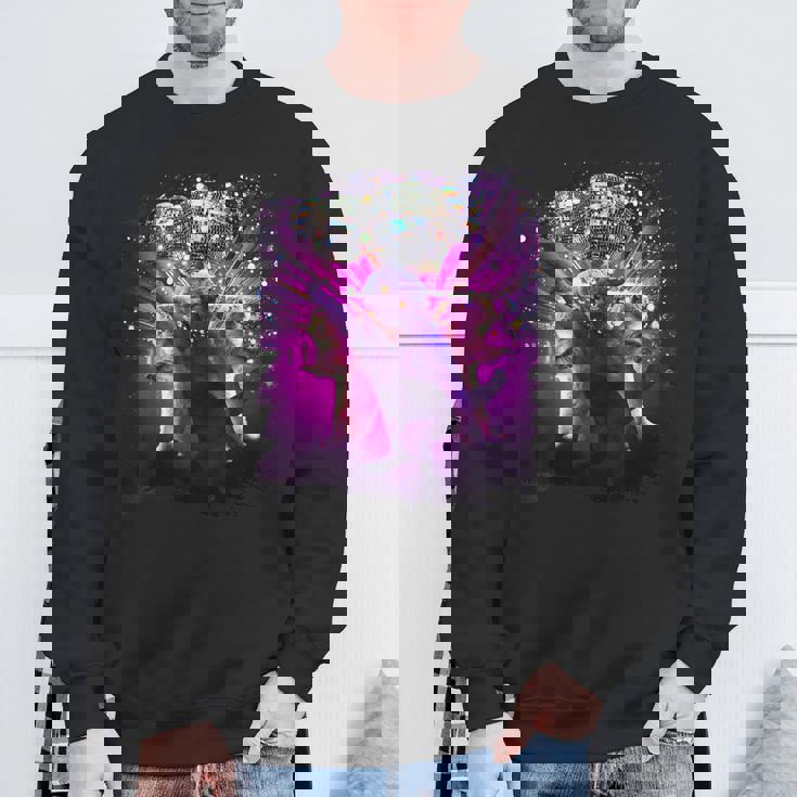 ディスコキャットレイブ スウェットシャツ 高齢者への贈り物