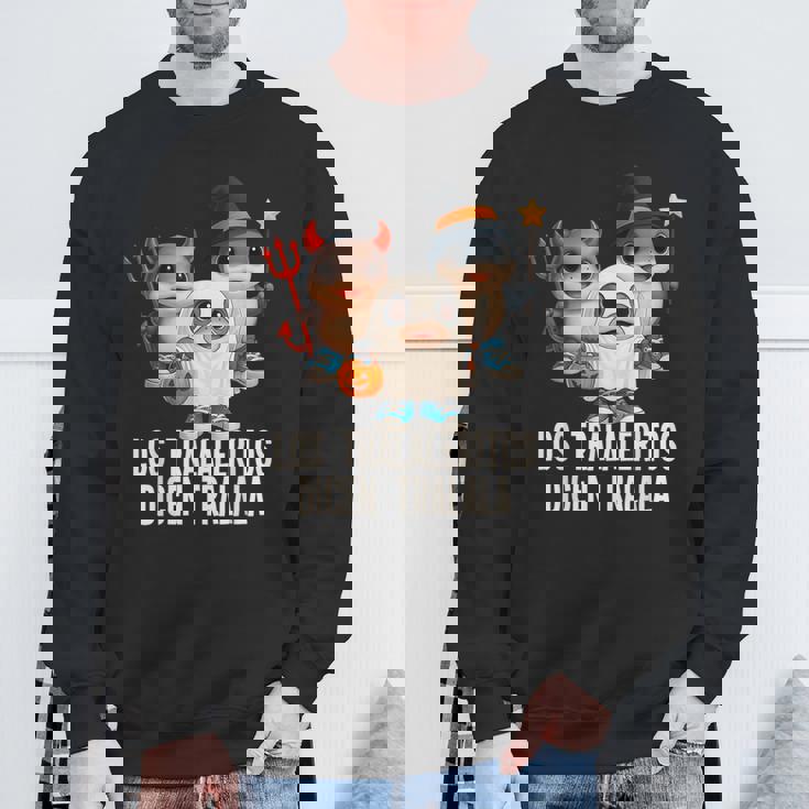 ハロウィン コスチューム ロス トラレリトス ダイセン トラララ キッズ サメ スウェットシャツ 高齢者への贈り物