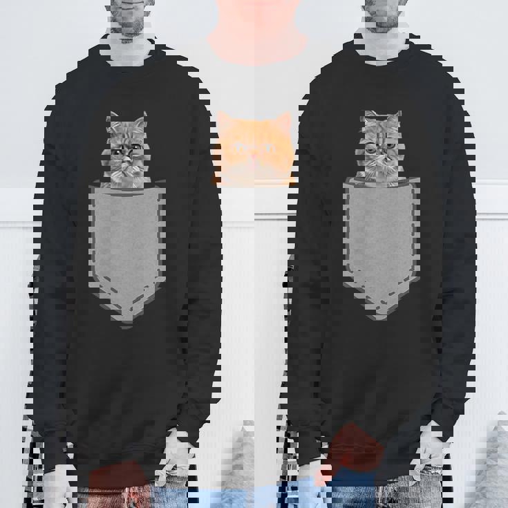ファニーエキゾチックショートヘア猫 スウェットシャツ 高齢者への贈り物