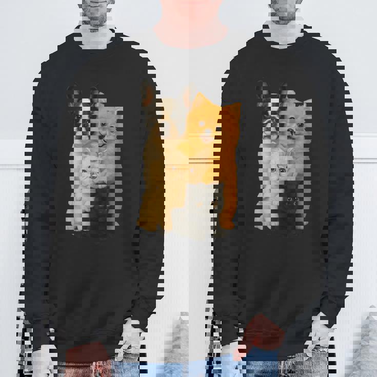 フレンチブルドッグ ポメラニアン エキゾチック ショートヘア マンチキン 猫 スウェットシャツ 高齢者への贈り物