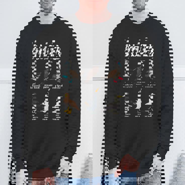 ブービーバード面白いカツオドリ スウェットシャツ 高齢者への贈り物