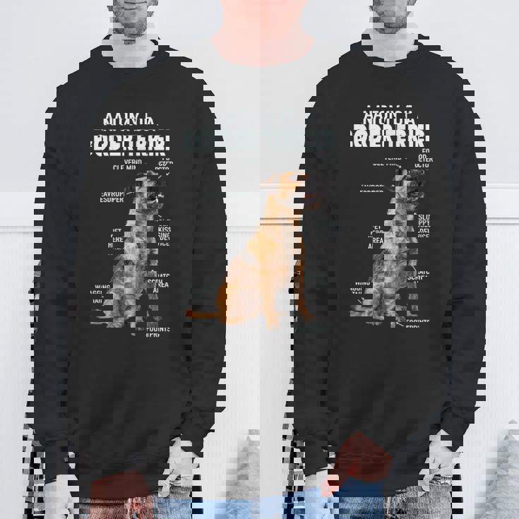 ボーダーテリアの解剖学 長袖tシャツ スウェットシャツ 高齢者への贈り物