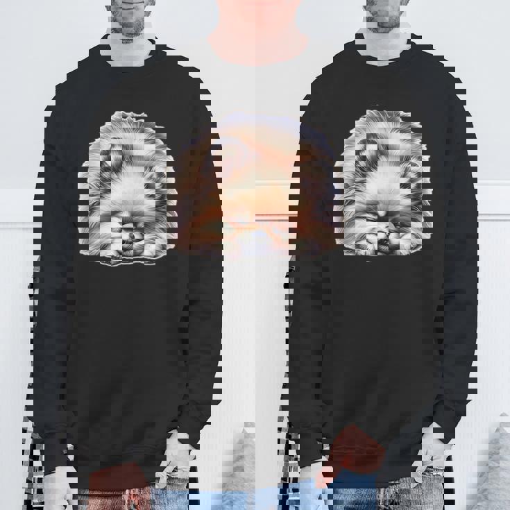 ポメラニアン × ポメラニアン 犬 寝ている スウェットシャツ 高齢者への贈り物