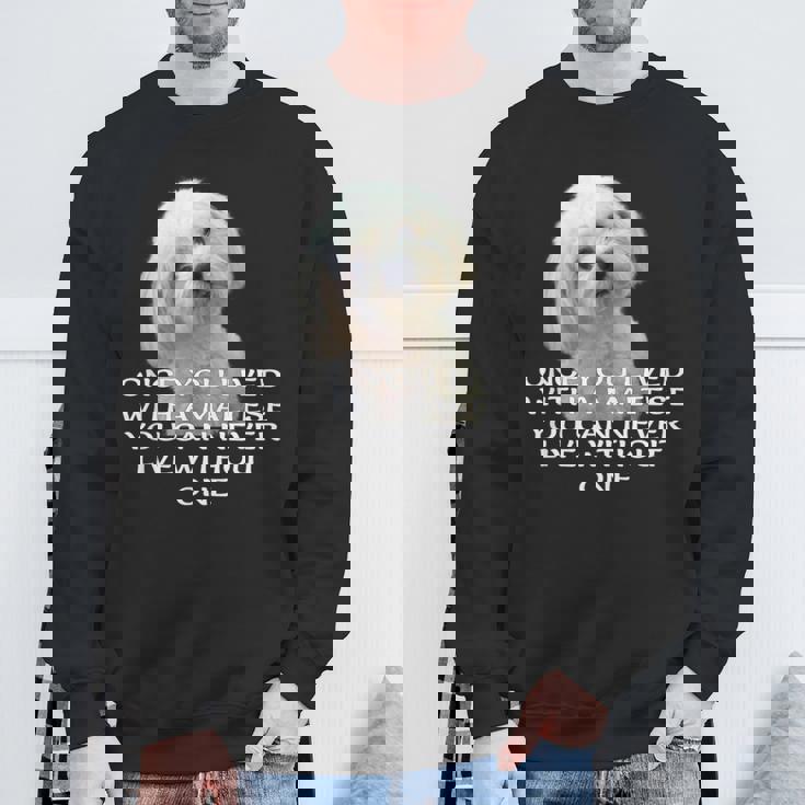 マルチーズ犬愛好家 子犬オーナー 真の愛 引用句デザイン スウェットシャツ 高齢者への贈り物