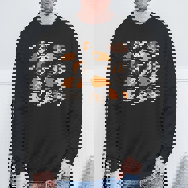 モルモット犬種シャツ スウェットシャツ 高齢者への贈り物