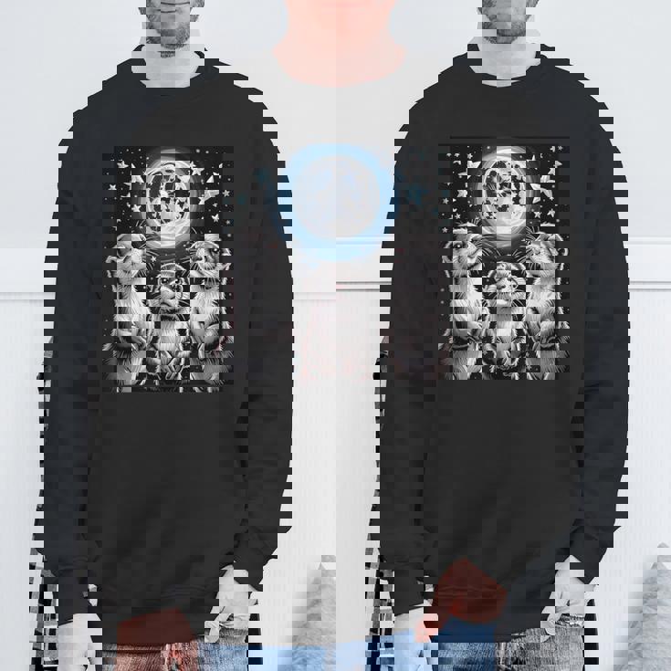 ラッコ マーチ カワウソ ハウリング 月 ヴィンテージ ラッコ スウェットシャツ 高齢者への贈り物