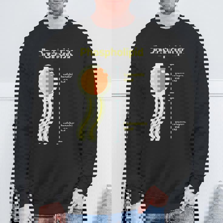 リン脂質 スウェットシャツ 高齢者への贈り物