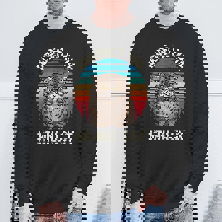 レトロ リスペクト マヌル 猫 ヴィンテージ グランジ マヌル 猫好き スウェットシャツ 高齢者への贈り物