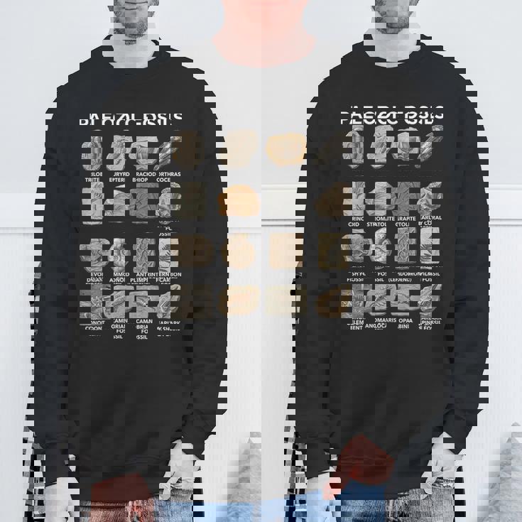 古生代化石チャート古生物学科学愛好家 スウェットシャツ 高齢者への贈り物