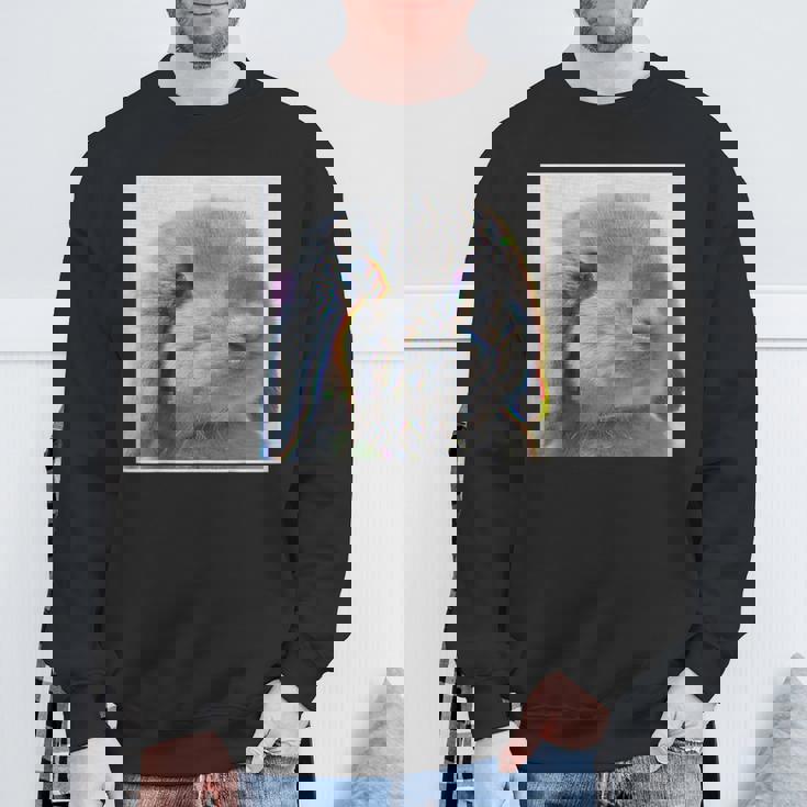 垂れ耳うさぎのレトロ写真 スウェットシャツ 高齢者への贈り物