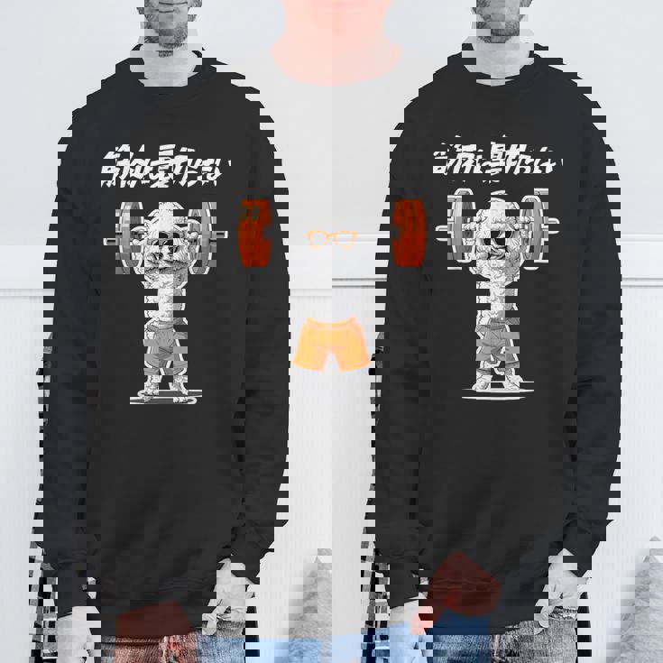 筋肉は裏切らない トイプードル グッズ 犬 おもしろ 面白い ネタ 筋トレ スウェットシャツ 高齢者への贈り物