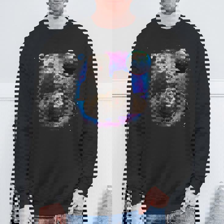 銀河系の面白いフェレット フェレット 長袖tシャツ スウェットシャツ 高齢者への贈り物