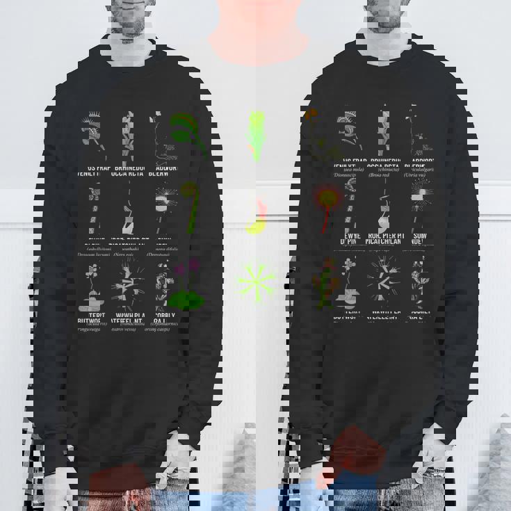 食虫植物 チャートハエトリグサ、食虫植物 スウェットシャツ 高齢者への贈り物