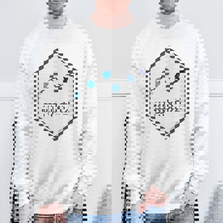 R Programming Ggplot2 六角tシャツ Rstudio Tidyverse Rstats スウェットシャツ 高齢者への贈り物