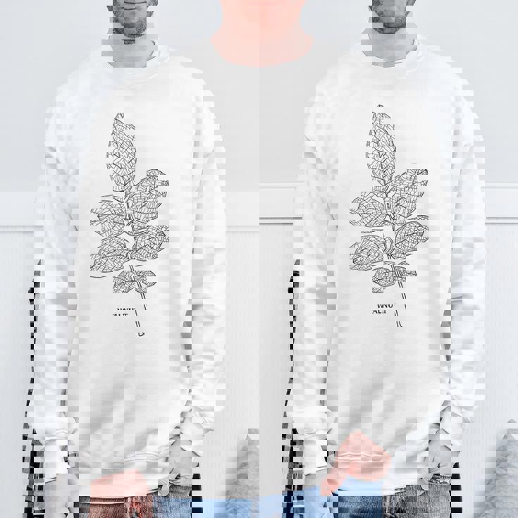 ウォールナットツリーリーフヴィンテージ植物学tシャツtシャツ スウェットシャツ 高齢者への贈り物