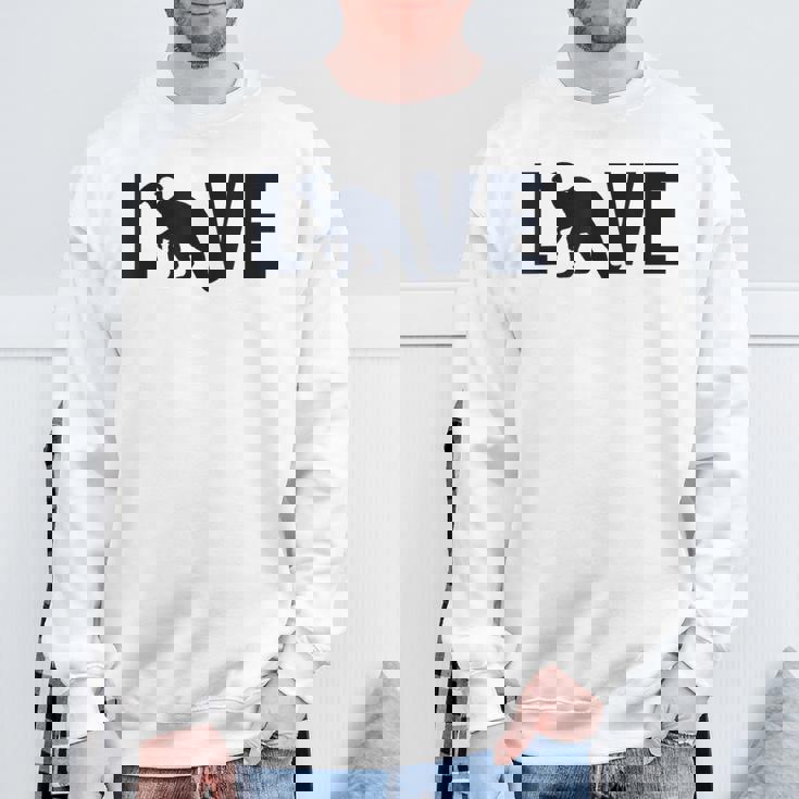 パラサウロロフス ラブ恐竜 ハドロサウルダエ パラサウロロフス スウェットシャツ 高齢者への贈り物