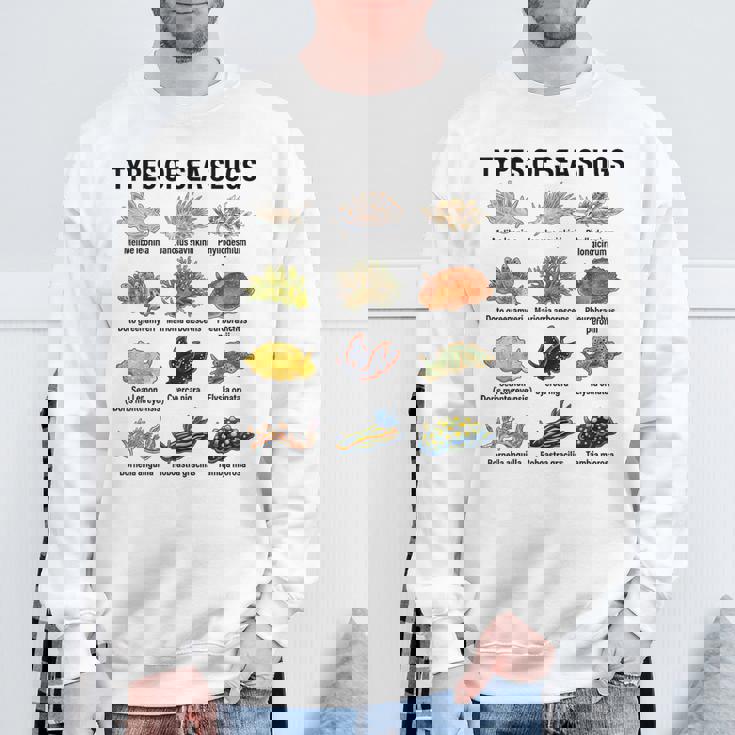 海洋ナメクジの種類科学海洋生物学チャート スウェットシャツ 高齢者への贈り物