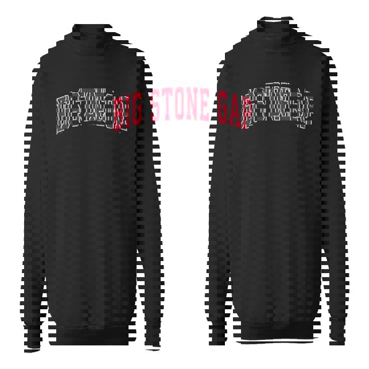 Bigtone Gap バージニアa ヴィンテージ スポーツデザイン レッドデザイン スウェットシャツ