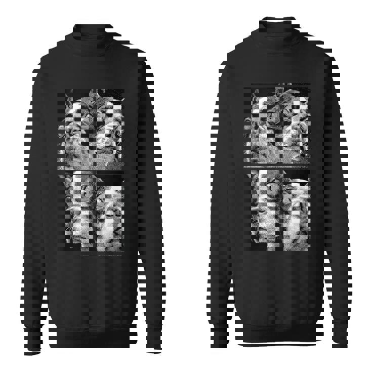 Hypnotic Boston Terriers Weird Eyes Weirdcore Halloween Dogs Tank Top Sweatshirt Unisex