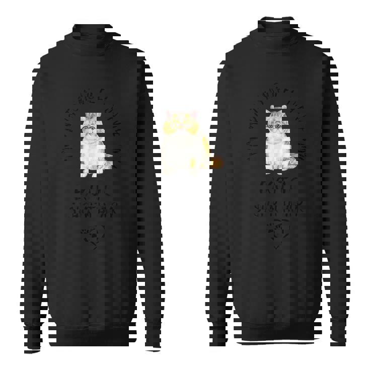 I'm Notingle I Have My Exotichorthairalentine's Day ネコ スウェットシャツ