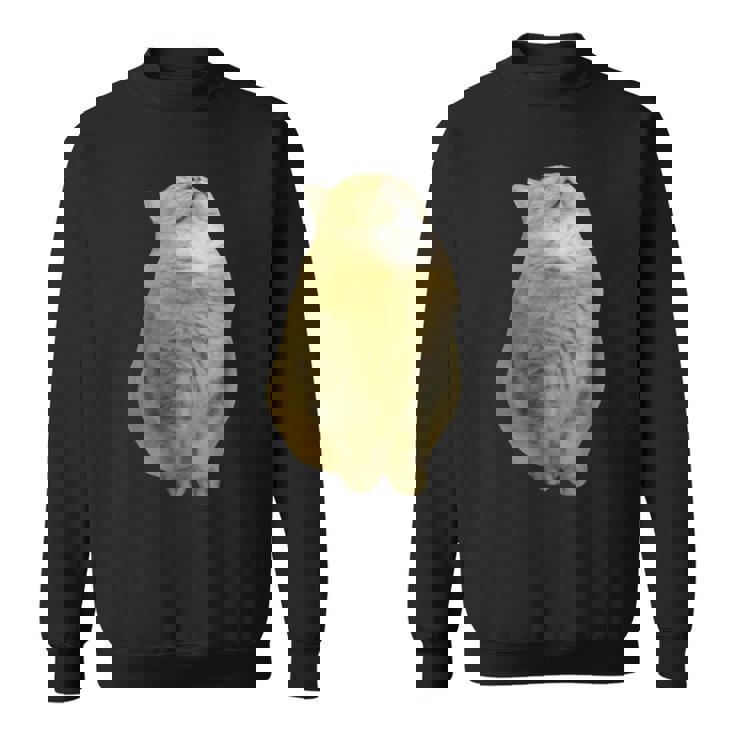 Meme Yellow Cat leep Internetiral スウェットシャツ
