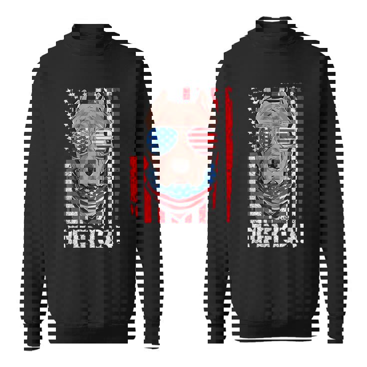 Pit-Bull Usa 愛国的な犬服 アメリカ国旗 メンズ スウェットシャツ