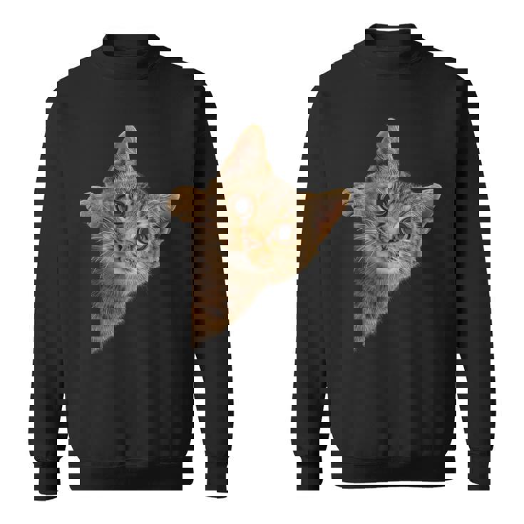 【覗くネコ】猫 にゃんこ 猫好き 猫 可愛い ネコ 子猫 ネコ好き 面白い 変な 遊び心 ネタ ウケ狙い おもしろ スウェットシャツ