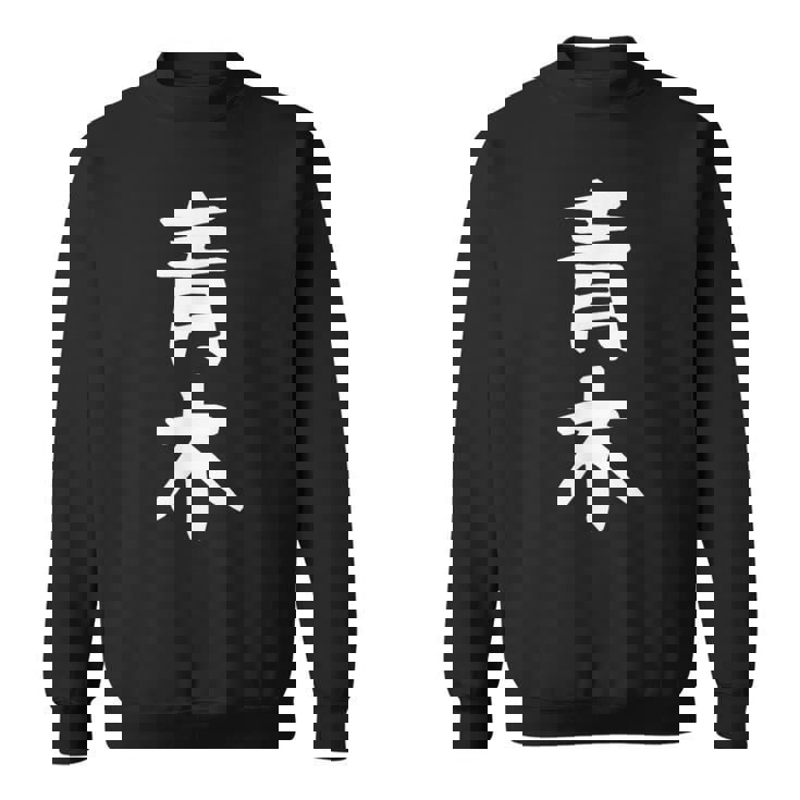 おもしろtシャツ【青木】名字 家族お揃い ギャグ ネタ ウケ狙い 贈り物 ギフト スウェットシャツ