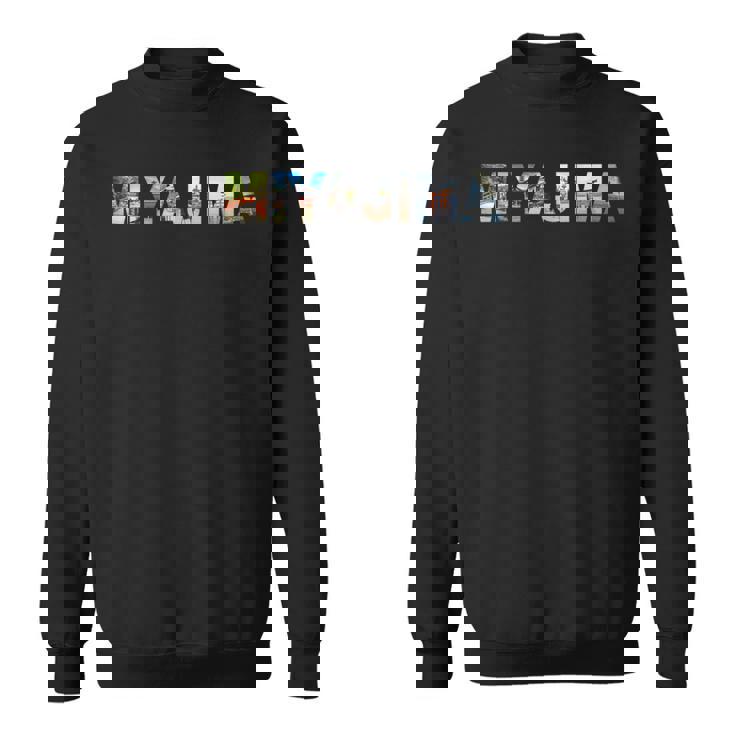 アジア 日本旅行 日本のランドマーク 広島 宮島 スウェットシャツ