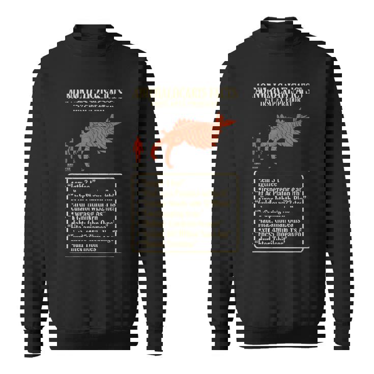 アノマロカリス 事実 最初の頂点捕食者 カンブリア紀 古生物 化石 科学 学習 進化 歴史 海洋 比較 スウェットシャツ