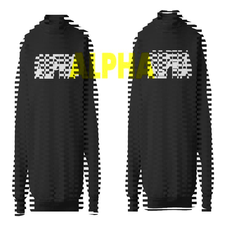 アルファ 長袖tシャツ スウェットシャツ