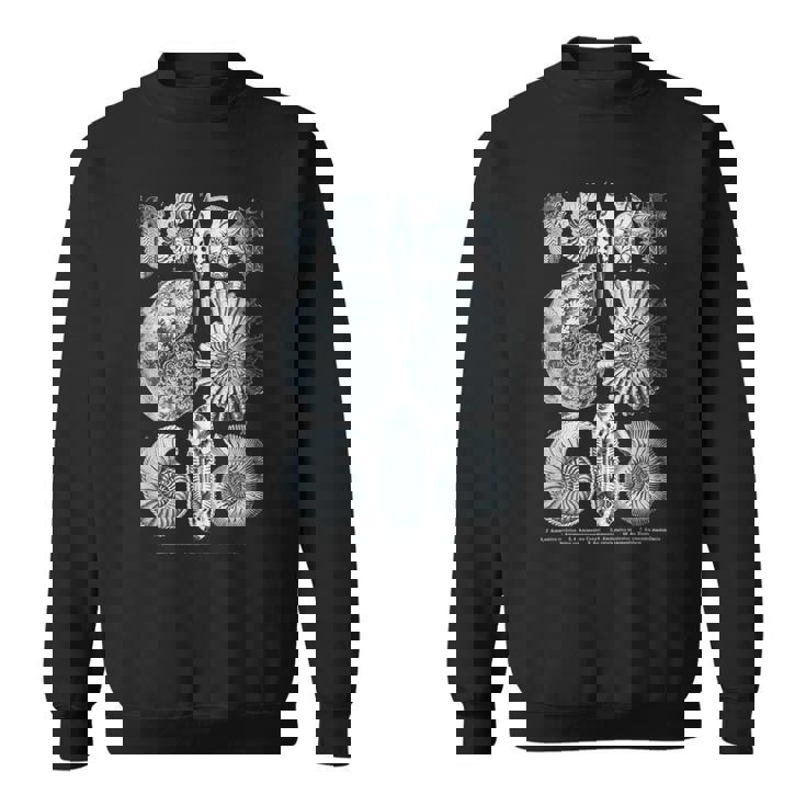 アンモナイト化石 地質学者 古生物学者研究 古生物学 スウェットシャツ