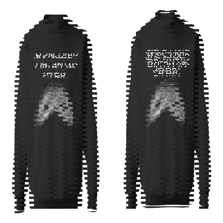 エントロピー熱力学物理学教師学生科学ギフト スウェットシャツ