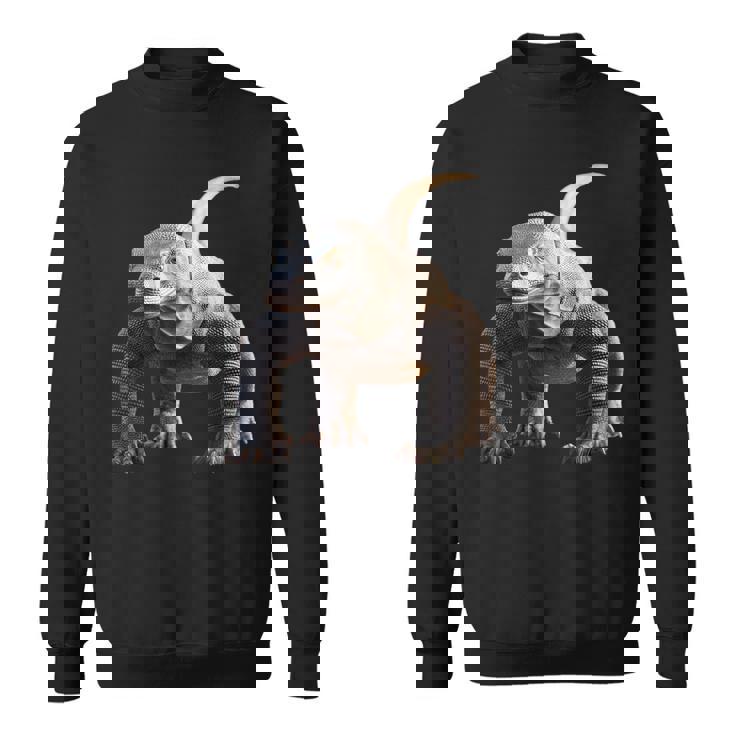 オオトカゲ 爬虫類 コモドドラゴン バンドドラゴン トカゲドラゴン スウェットシャツ